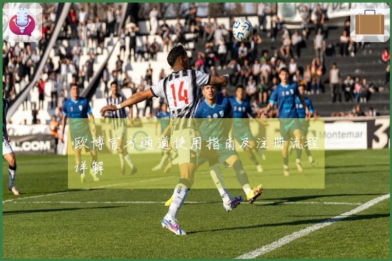 欧博官方通道使用指南及注册流程详解
