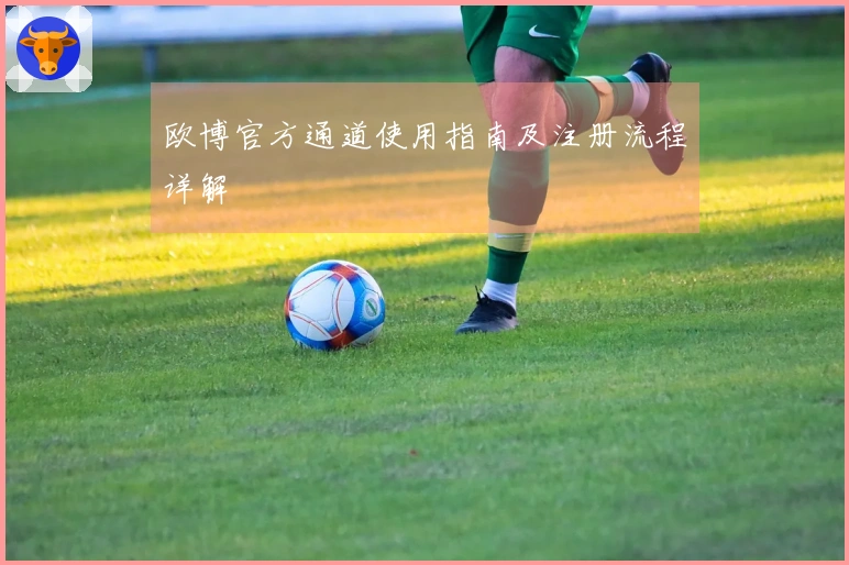 欧博官方通道使用指南及注册流程详解